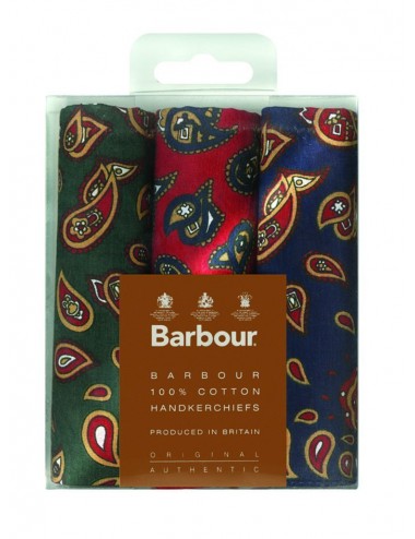 Men's Barbour Paisley Handkerchiefs